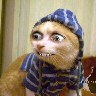 Sir_Hugzalot's Avatar