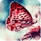 PsychoticHeartbeat's Avatar