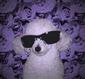 LoveMist's Avatar
