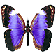 tlynn1019's Avatar