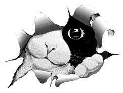Twigkat's Avatar