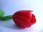 lovelygirl's Avatar