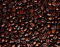 Burning Aroma's Avatar