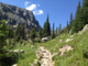 rockymtngal's Avatar