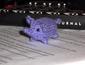 purplelephant's Avatar