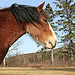 Photo_Girl_Jenn's Avatar