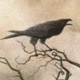 ravenescence's Avatar