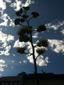 CloudyDay99's Avatar