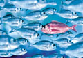 dottedfish's Avatar