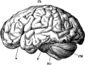 BrainsAreHard's Avatar