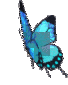 sweetie_squared's Avatar