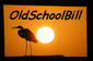 OldSchoolBill's Avatar