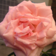 k123's Avatar