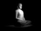 buddha2014's Avatar