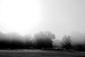 throughthefog's Avatar