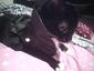 dark_sweetie's Avatar