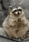 smallexpresso86's Avatar
