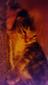 scardycat's Avatar