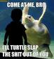 TheTurtleLives's Avatar