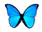 CHIM3RA2006's Avatar
