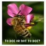 Bitterbee's Avatar