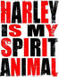 Harley326's Avatar