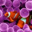 Just keep swimming's Avatar