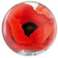 somepalegirl's Avatar