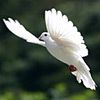 thewordwas's Avatar