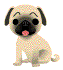 tt382's Avatar