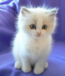 prettykitten's Avatar