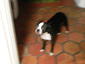 pleased's Avatar