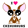 chiwawamom's Avatar