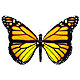 2Hope's Avatar