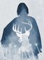 HalfBloodPrince's Avatar