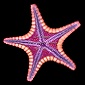 Starfish86's Avatar