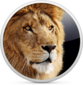 CptsdAnn's Avatar