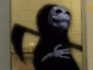 Ysabet's Avatar