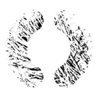 myskycastle's Avatar