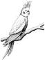 luvtiels's Avatar