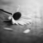 NOMOR's Avatar
