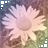HarlequinJester's Avatar