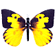 karenftx's Avatar