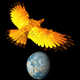 saltphoenix's Avatar
