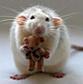 phoebe_monkey's Avatar