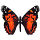Bunnee's Avatar