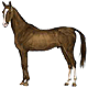 carole_1's Avatar